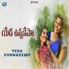 About Yeda Vunnademo Song