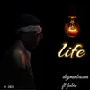 About Life (feat. Fabio) Song