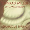 About Little Wallflowers: Damascus Spring Song