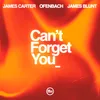 About Can’t Forget You (feat. James Blunt) Song