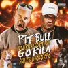 About Pitbull da Orelha Cortada Gorila Sem Pelo no Corpo Song