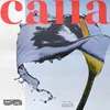 About calla Song