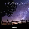 About Moonlight (Satchel Remix) Song