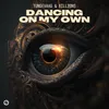 About Dancing On My Own Song