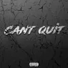 About Can't Quit Song