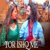 About Tor Ishq Me Song