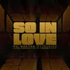 About So In Love (feat. Darrel 'MusiqCity' Walls & Zacardi Cortez) Song