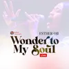 About Wonder To My Soul (Live) Song