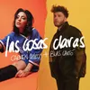 About Las cosas claras Song