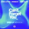 About Can’t Forget You (feat. James Blunt) [Sped Up Version] Song