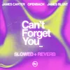 Can’t Forget You (feat. James Blunt) [slowed + reverb]