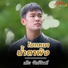 About โบกหนาน้ำตาพัง Song