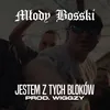 About Jestem z tych bloków Song