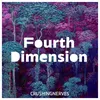 Fourth Dimension