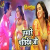 About Hamare Pati Dev Ji Song