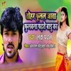 About Tohar Pholal Jata Phulawna Padte Badu Ka Song