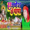 About Ae Ganesh Ke Papa Song