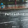 Petrichor