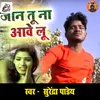 About Jaan Tu Na Aawe Lu Song