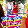 About Din ke Boyfriend Rat Ke Husband Song