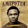 About Amepotea Song