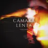 About Cámara Lenta Song