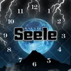 About Seele Song