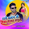 About Raate Palang Se Piya Palat Gayle Song