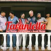 About Tarantella (feat. Sooshi Mango) Song