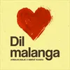 About Dil Malanga Song