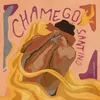 About Chamego Song