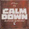 About Calm Down (A Little Bit Calmer Now) Song