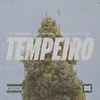 About Tempeiro (feat. Sr.Purple_X, VVVIK, YWG Tuga) Song