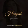 About Harpal Song