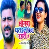 About Sonwa Dharail Biya Rahari Me Song