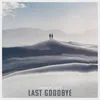 About Last Goodbye Song