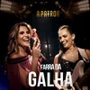 About Farra da Galha Song