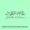 About Liquid Lights (Deakin of Animal Collective Remix) Song