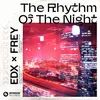About The Rhythm Of The Night Song
