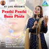 About Penthi Penthi Bana Phula Song