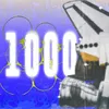 1000匹