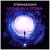 Living in a Storm