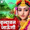 About Vrindavan Jaaungi Song