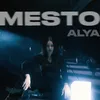 About MESTO (feat. Majself) Song