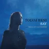 About Say (feat. Kállay Saunders) Song