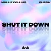 About Shut It Down Song