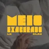 About Meio Exagerado Song