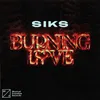 About Burning Love Song