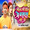 About Bhola Ji Dil Me Basal Bade Ho Song