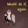 About Would Do It Again Song